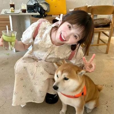 情宿